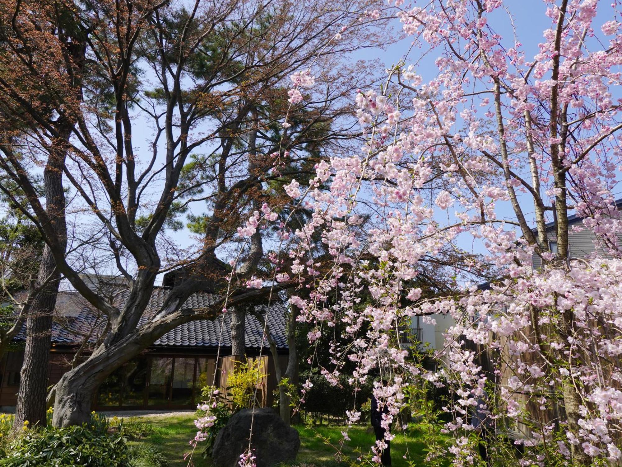 Machi No Odoriba 호텔 가나자와 외부 사진